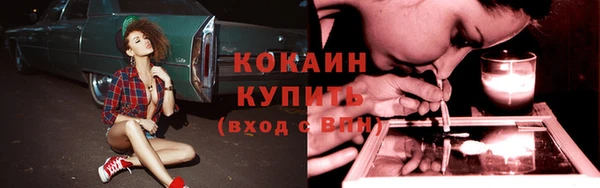 ECSTASY Сафоново