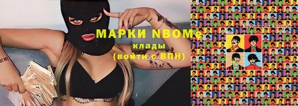 сатива Баксан