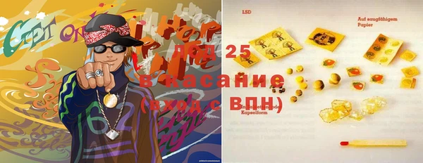 сатива Баксан