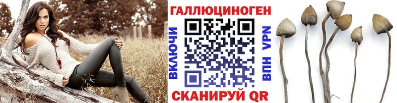 Псилоцибиновые грибы прущие грибы Шатура