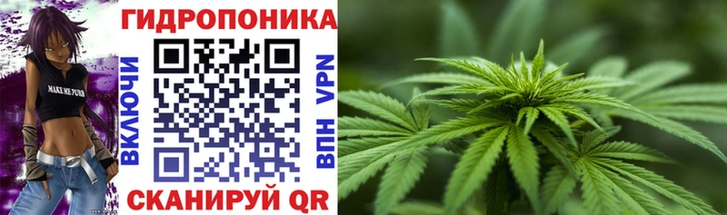 купить  сайты  Шатура  Бошки Шишки Ganja 
